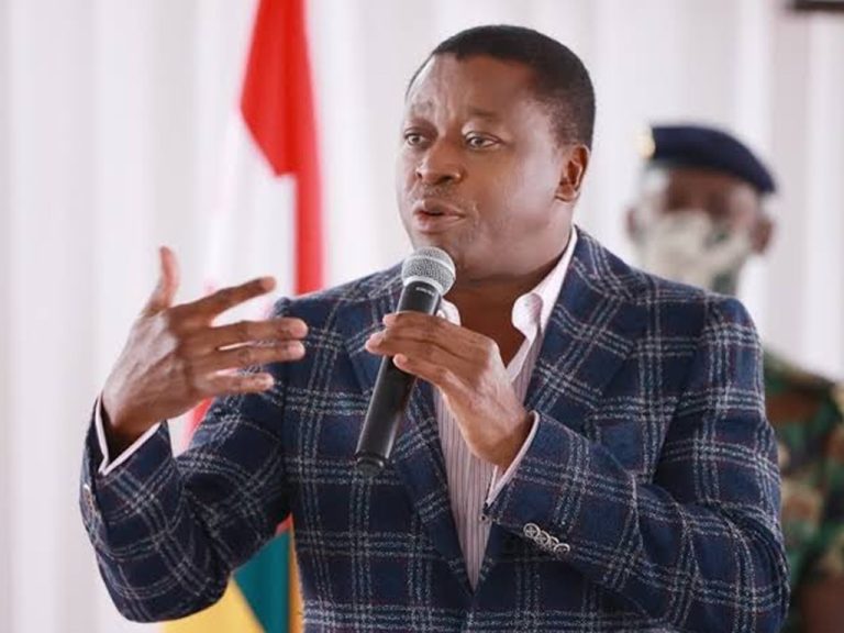 Président du Conseil Faure Gnassingbé