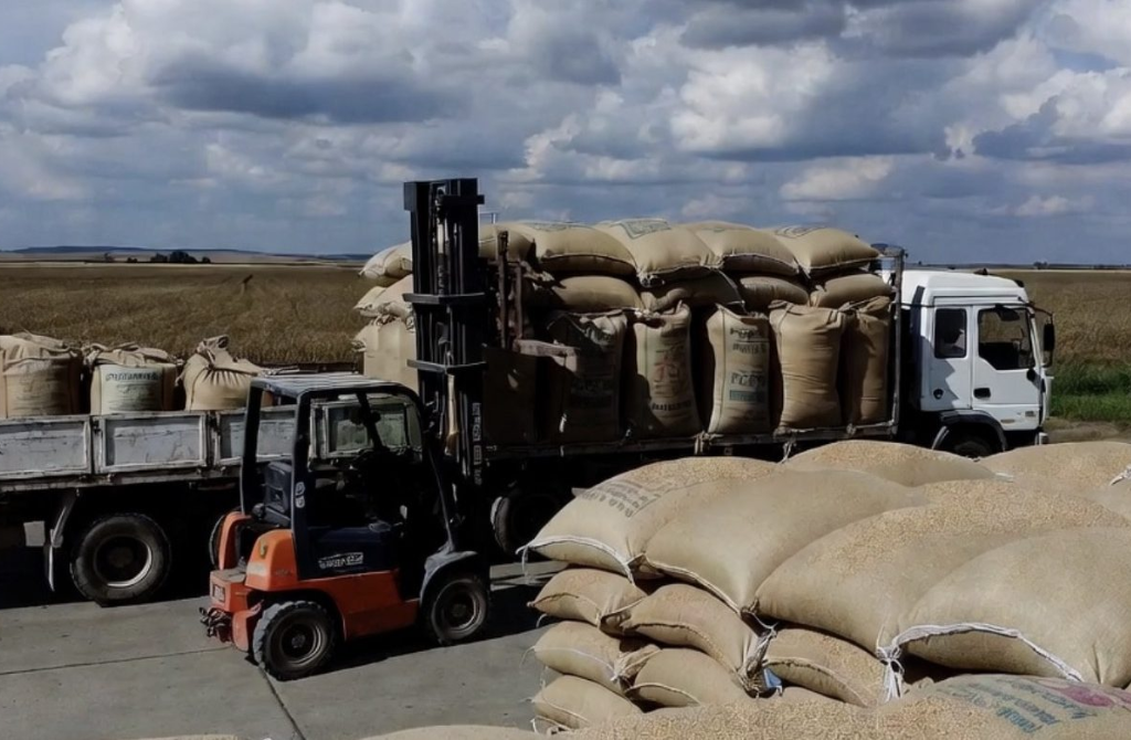 Russie-Afrique : le blé comme nouvelle arme de puissance économique