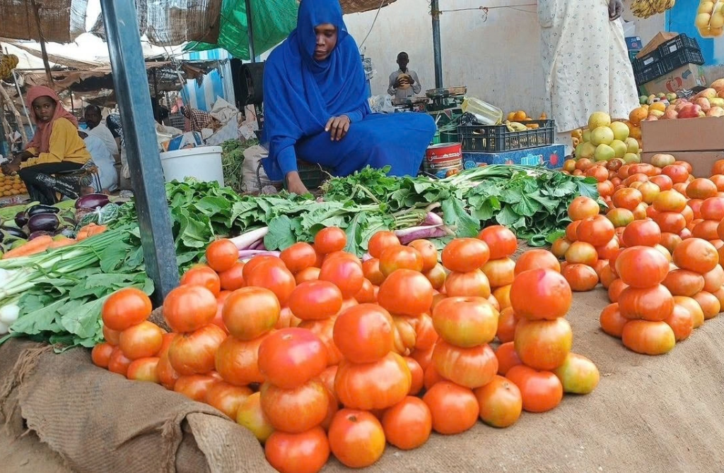 Soudan : El Fasher renoue avec son marché aux bestiaux, symbole d&rsquo;espoir et de résilience
